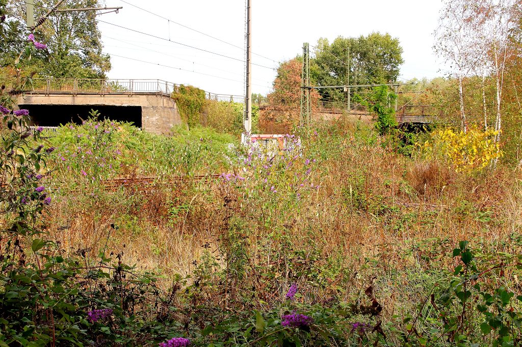 Kruppsee Essen September 2018