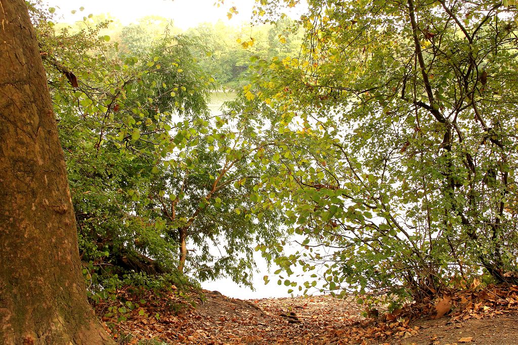 Kruppsee Essen September 2018