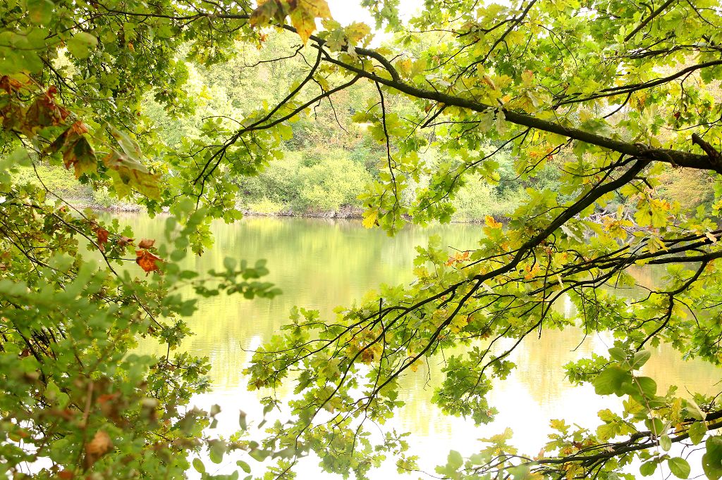 Kruppsee Essen September 2018
