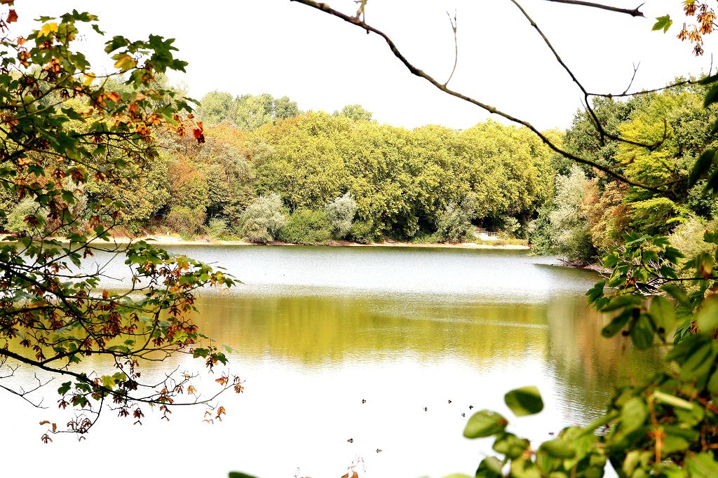 Kruppsee Essen September 2018