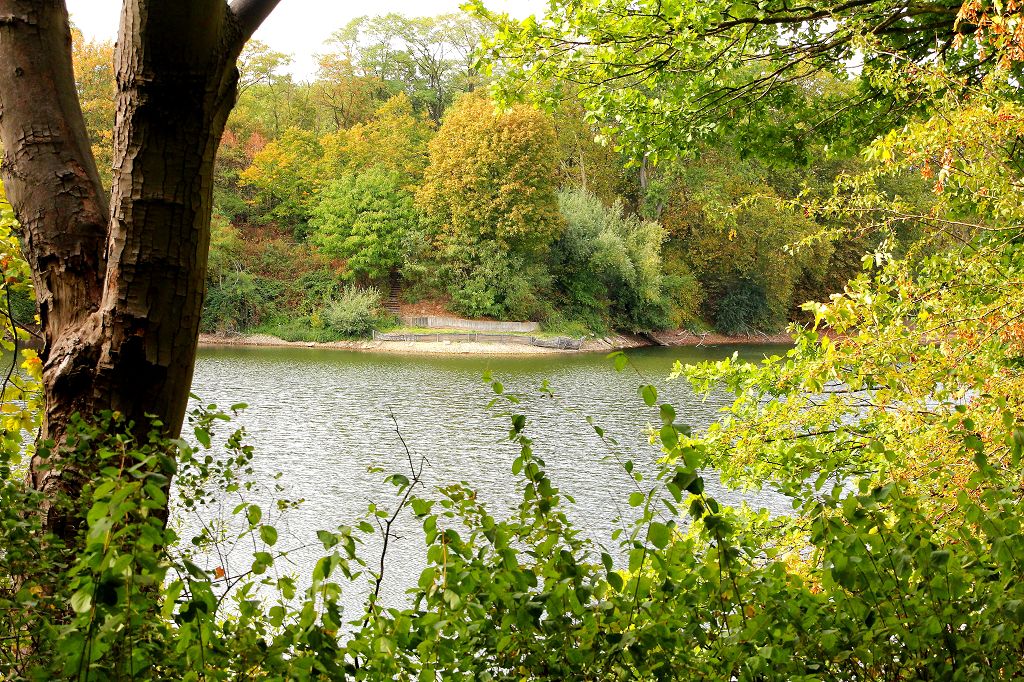 Kruppsee Essen September 2018