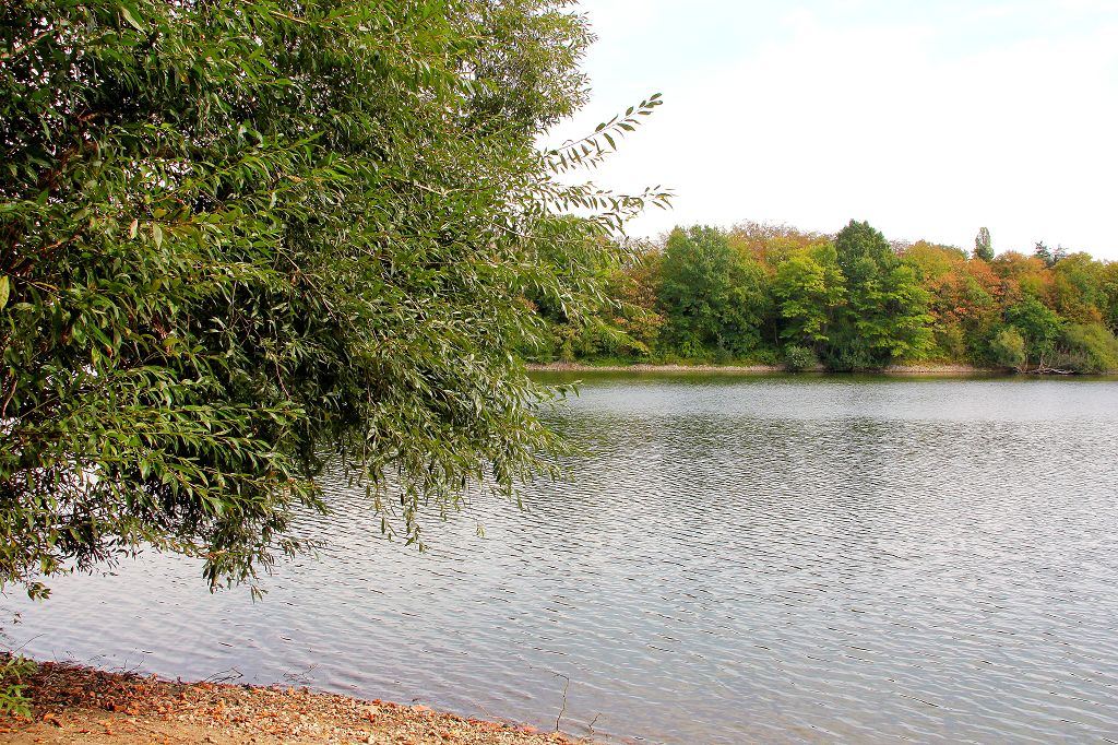 Kruppsee Essen September 2018
