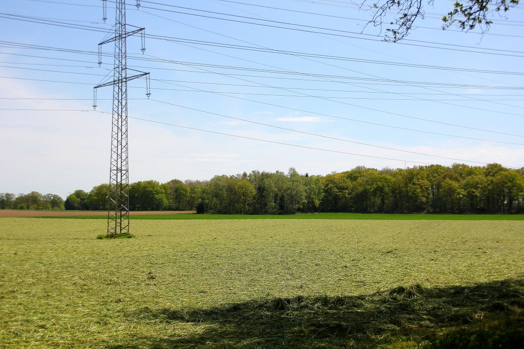 Klingerhuf Neukirchen-Vluyn Mai 2021