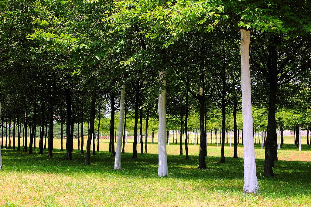 Rheinpark Duisburg Juni 2021