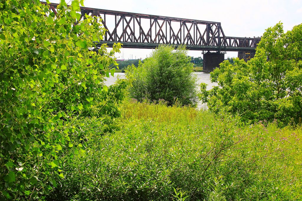 Rheinpark Duisburg Juni 2021