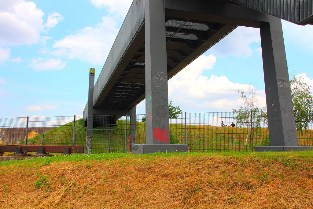 Rheinpark Duisburg Juni 2021