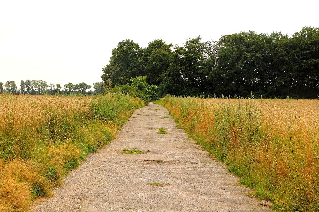 Am Schloss Heltorf Juli 2021