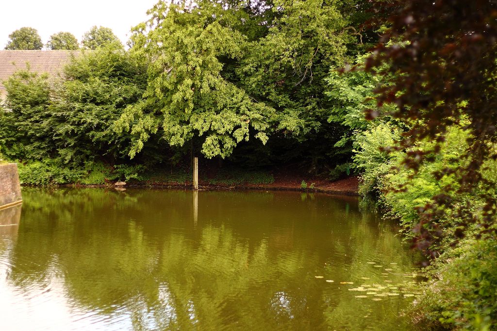 Am Schloss Heltorf Juli 2021