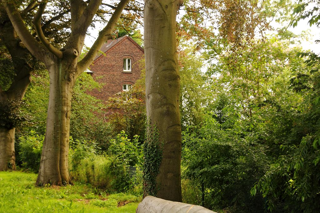 Am Schloss Heltorf Juli 2021