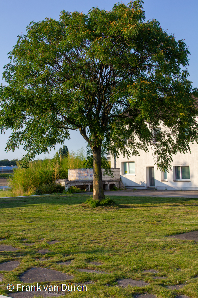 Duisburg 2021 - 1