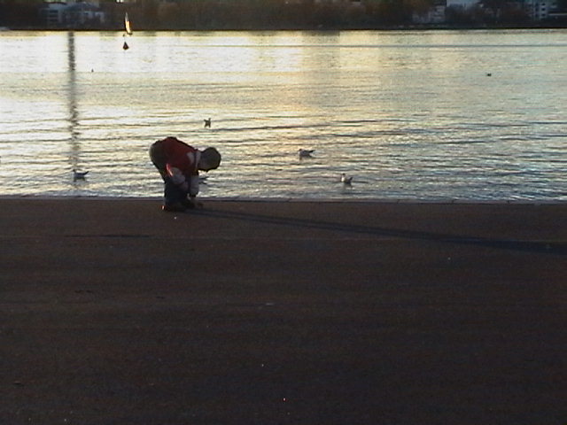 Hamburger Alster