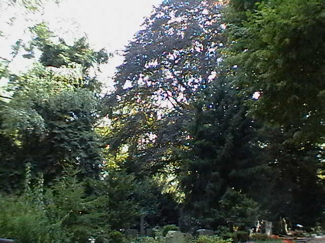 Friedhof Trier